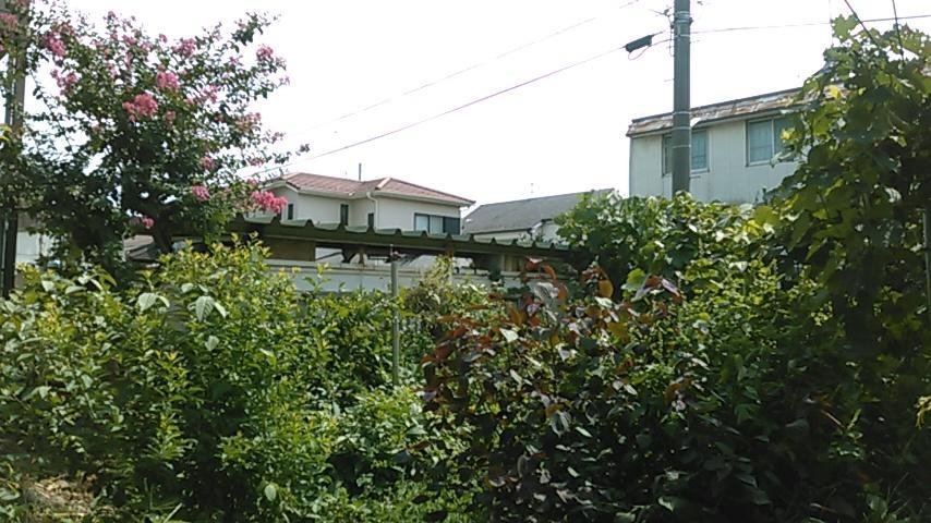 "Cherry House" Is Direct To Narita,Haneda Ap, Disney, Asakusa, Skytree Tower, Tokyo Macudo Kültér fotó